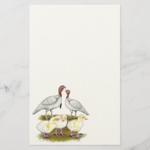 Kleine Witte Kalkoen Familie Briefpapier