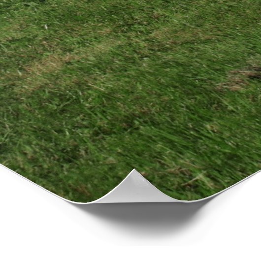 kleine witte kerk poster (Hoek)