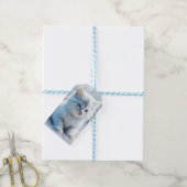 Kleine witte kitten in sneeuw kerst cadeaulabel (Met Touw)