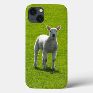 Kleine witte lamp op groen glas Case-Mate iPhone case
