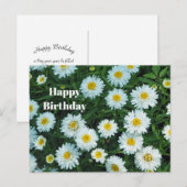 Kleine Witte Madeliefjes Bloem Foto Verjaardag Briefkaart (Voorkant / Achterkant)