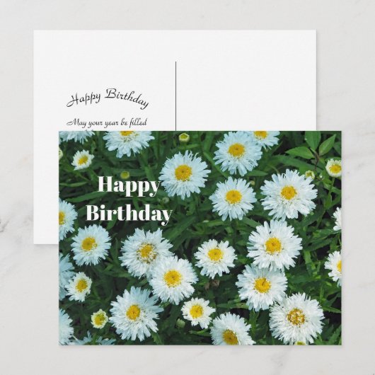 Kleine Witte Madeliefjes Bloem Foto Verjaardag Briefkaart (Voorkant / Achterkant)