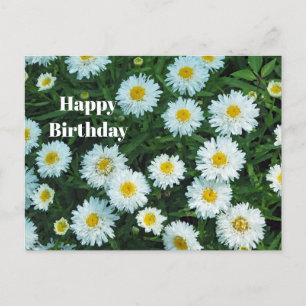 Kleine Witte Madeliefjes Bloemige Foto Verjaardag Briefkaart