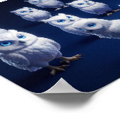 Kleine witte uilen poster (Hoek)