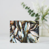 Kleine witte vis briefkaart (Staand voorkant)