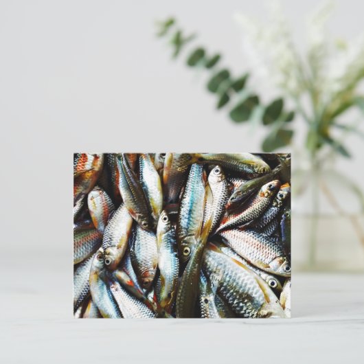 Kleine witte vis briefkaart (Staand voorkant)