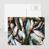 Kleine witte vis briefkaart (Voorkant / Achterkant)