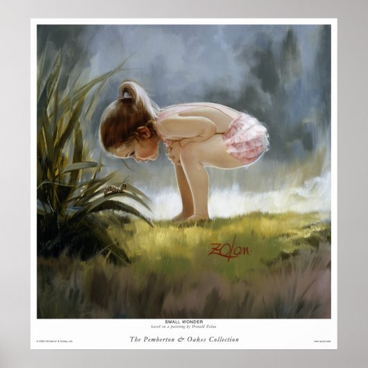 Kleine Wonder Poster (Voorkant)