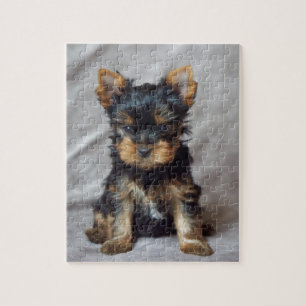 Kleine yorkie legpuzzel