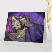 Kleine Yorkie Slaande Engel Halo Herdenkings Kunst Kaart (Gele Bloem)