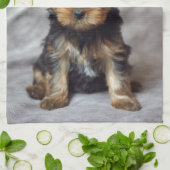 Kleine yorkie theedoek (Gevouwen)