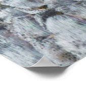 Kleine zalmschalen poster (Hoek)