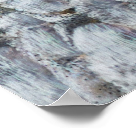 Kleine zalmschalen poster (Hoek)