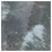 Kleine zalmschalen stof (Close Up)