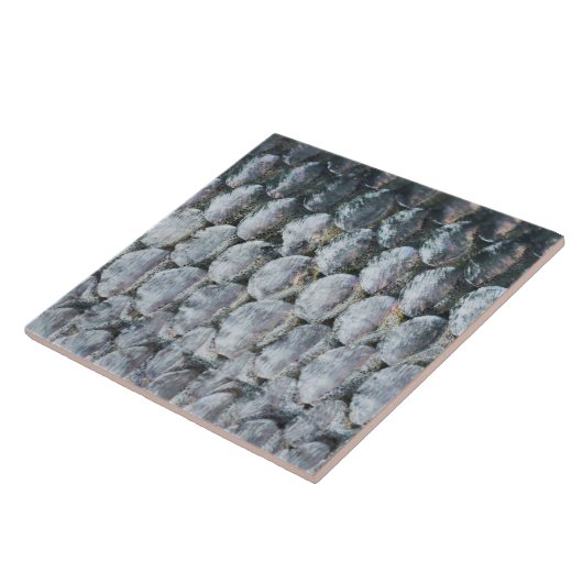 Kleine zalmschalen tegeltje (Zijkant)