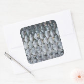 Kleine zalmschalen vierkante sticker (Envelop)