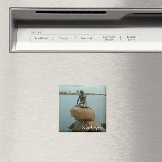 Kleine Zeemeermin - Kopenhagen Magneet (Insitu (Vaatwasser))