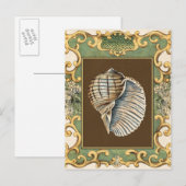 Kleine Zeemeerminnenschelpen Briefkaart (Voorkant / Achterkant)