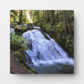 Kleine zigzag-Herfsten, OF Fotoplaat (Voorkant)