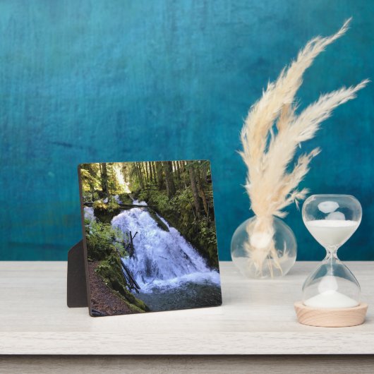 Kleine zigzag-Herfsten, OF Fotoplaat (Insitu)