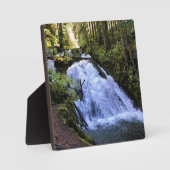 Kleine zigzag-Herfsten, OF Fotoplaat (Voorkant)