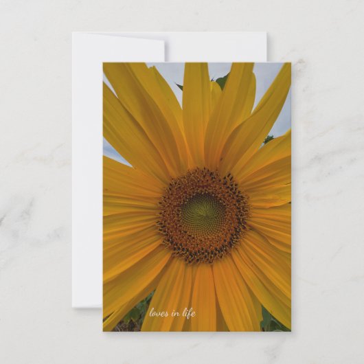 Kleine zonnebloem notitiekaartje (Voorkant)