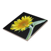 Kleine zonnebloem tegeltje (Zijkant)