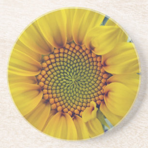Kleine zonnebloem zandsteen onderzetter