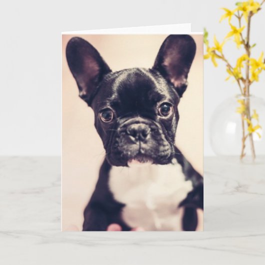 Kleine zwart-witpop kaart (Gele Bloem)