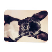 Kleine zwart-witpop magneet (Horizontaal)