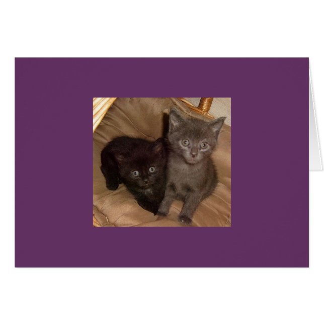 Kleine zwarte en kleine grijze (Voorkant Horizontaal)