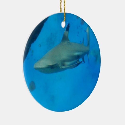 Kleine zwarte haarvlek keramisch ornament (Rechts)