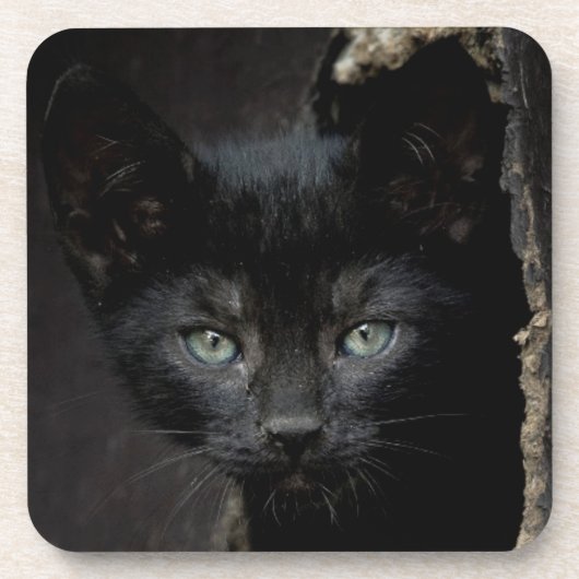 Kleine zwarte Kat Bier Onderzetter (Voorkant)