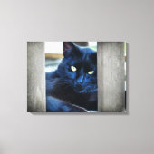 Kleine zwarte Kat Canvas Afdruk (Voorkant)