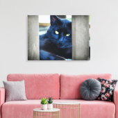 Kleine zwarte Kat Canvas Afdruk (Insitu (Woonkamer))