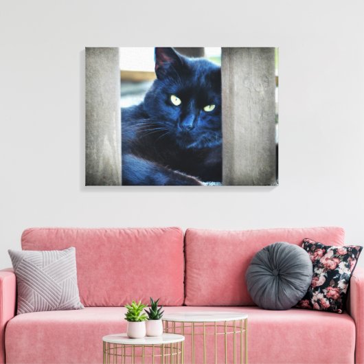 Kleine zwarte Kat Canvas Afdruk (Insitu (Woonkamer))