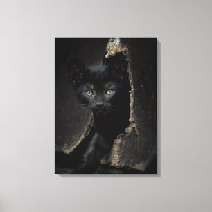 Kleine zwarte Kat Canvas Afdruk