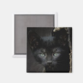 Kleine zwarte Kat Magneet (Voorkant / Achterkant)