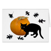 Kleine zwarte kat met pomkin Halloween Kaart (Voorkant Horizontaal)