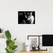 Kleine zwarte kat met spreekwoord poster (Thuiskantoor)