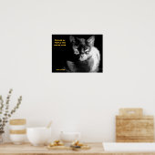 Kleine zwarte kat met spreekwoord poster (Keuken)