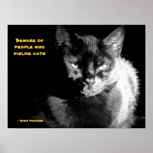 Kleine zwarte kat met spreekwoord poster (Voorkant)