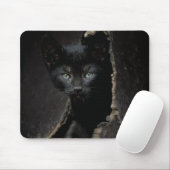 Kleine zwarte Kat Muismat (Met muis)
