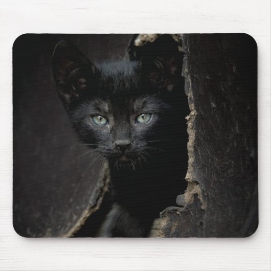Kleine zwarte Kat Muismat (Voorkant)