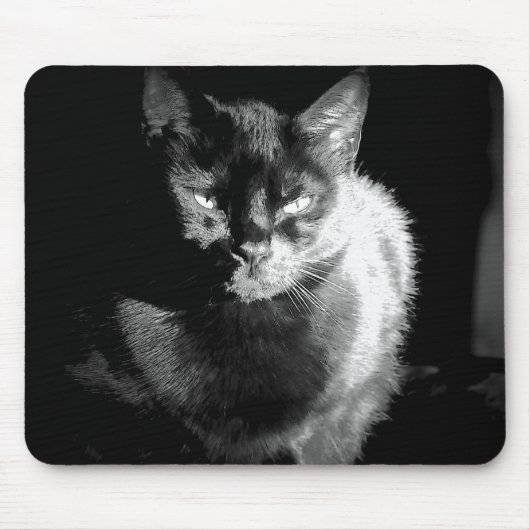 Kleine zwarte kat muismat (Voorkant)