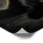 Kleine zwarte Kat Poster (Hoek)