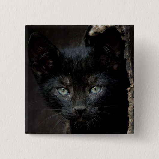 Kleine zwarte Kat Vierkante Button 5,1 Cm (Voorkant)