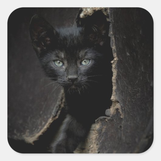 Kleine zwarte Kat Vierkante Sticker (Voorkant)