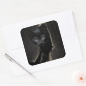Kleine zwarte Kat Vierkante Sticker (Envelop)