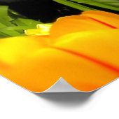 Kleine zwarte kitten in de tuin Tulip Poster (Hoek)